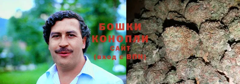 Конопля SATIVA & INDICA  Велиж 